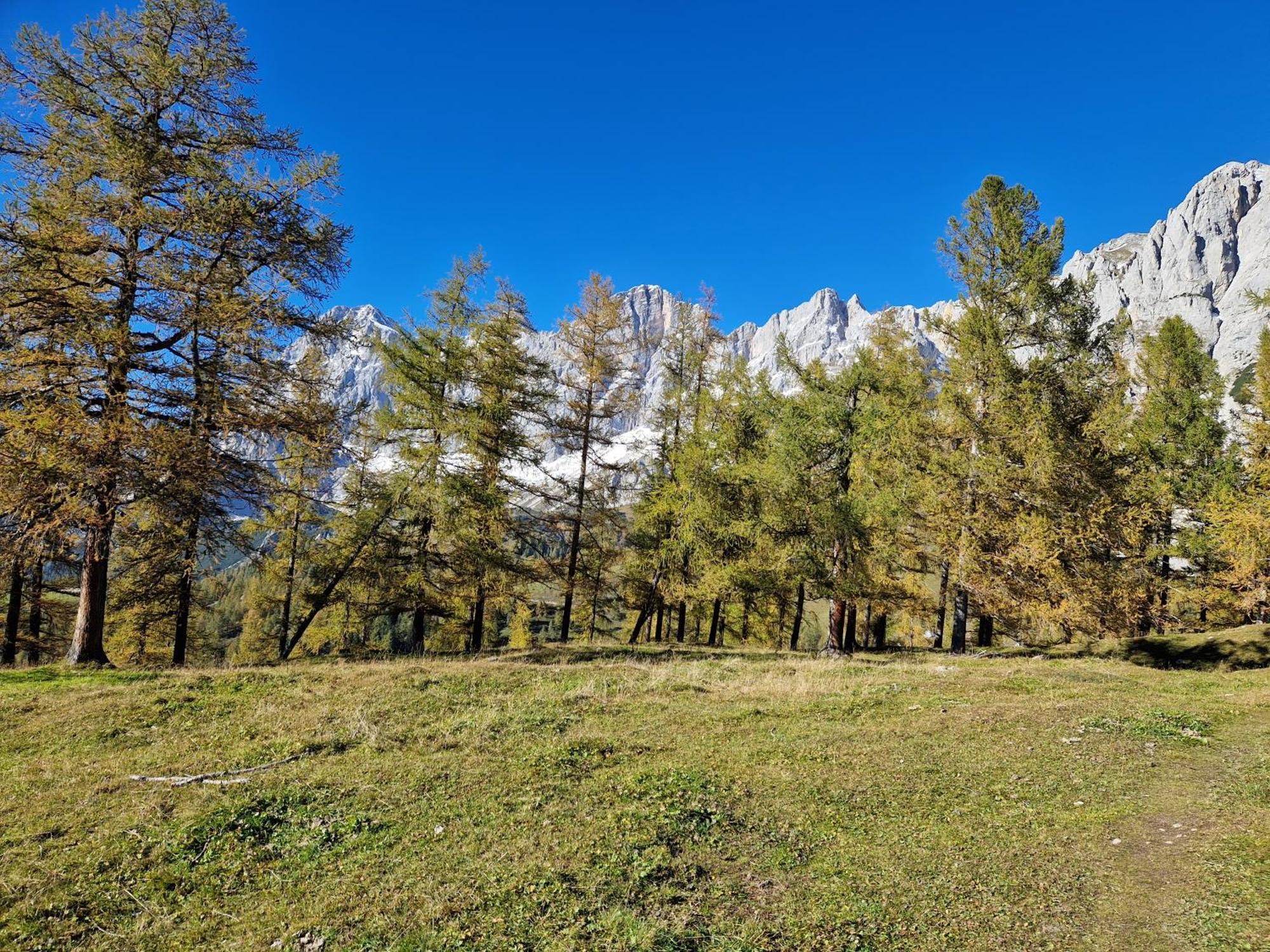 Romantikapartment Mit Sommercard Ramsau am Dachstein Esterno foto