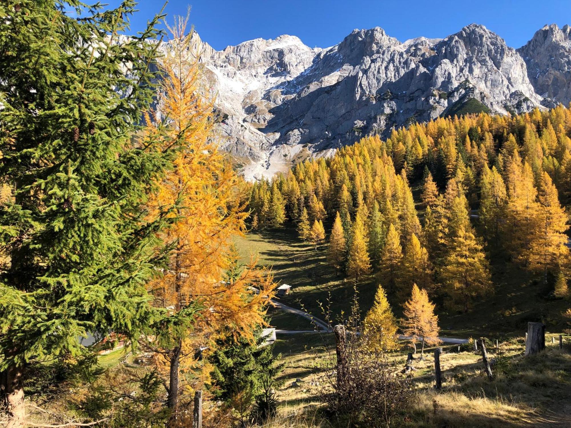 Romantikapartment Mit Sommercard Ramsau am Dachstein Esterno foto
