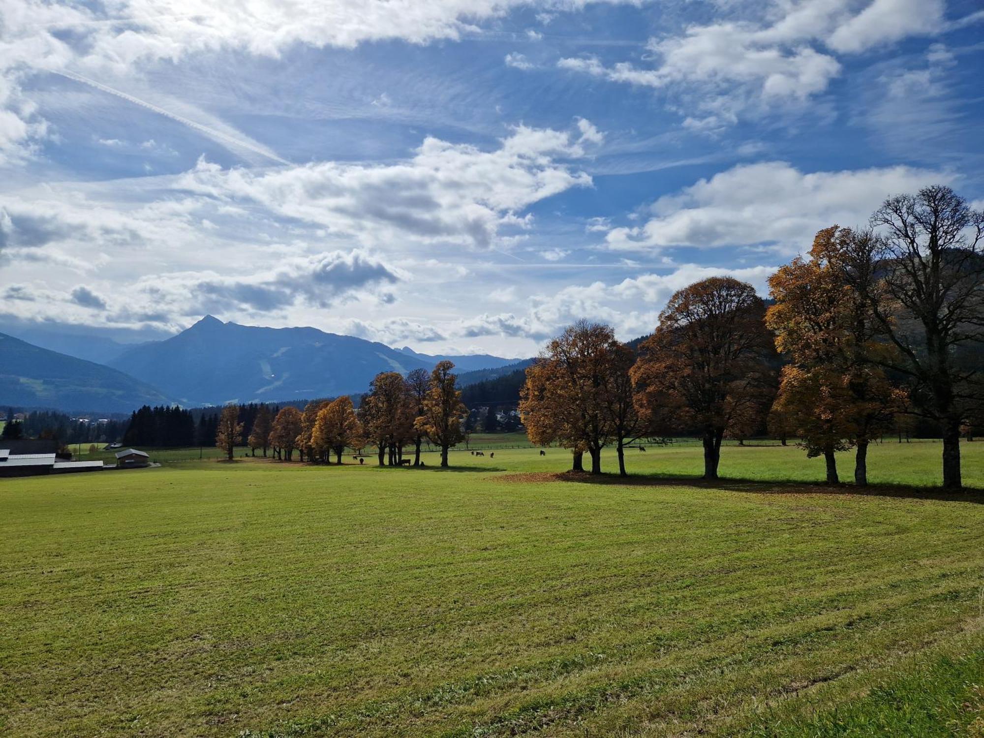 Romantikapartment Mit Sommercard Ramsau am Dachstein Esterno foto