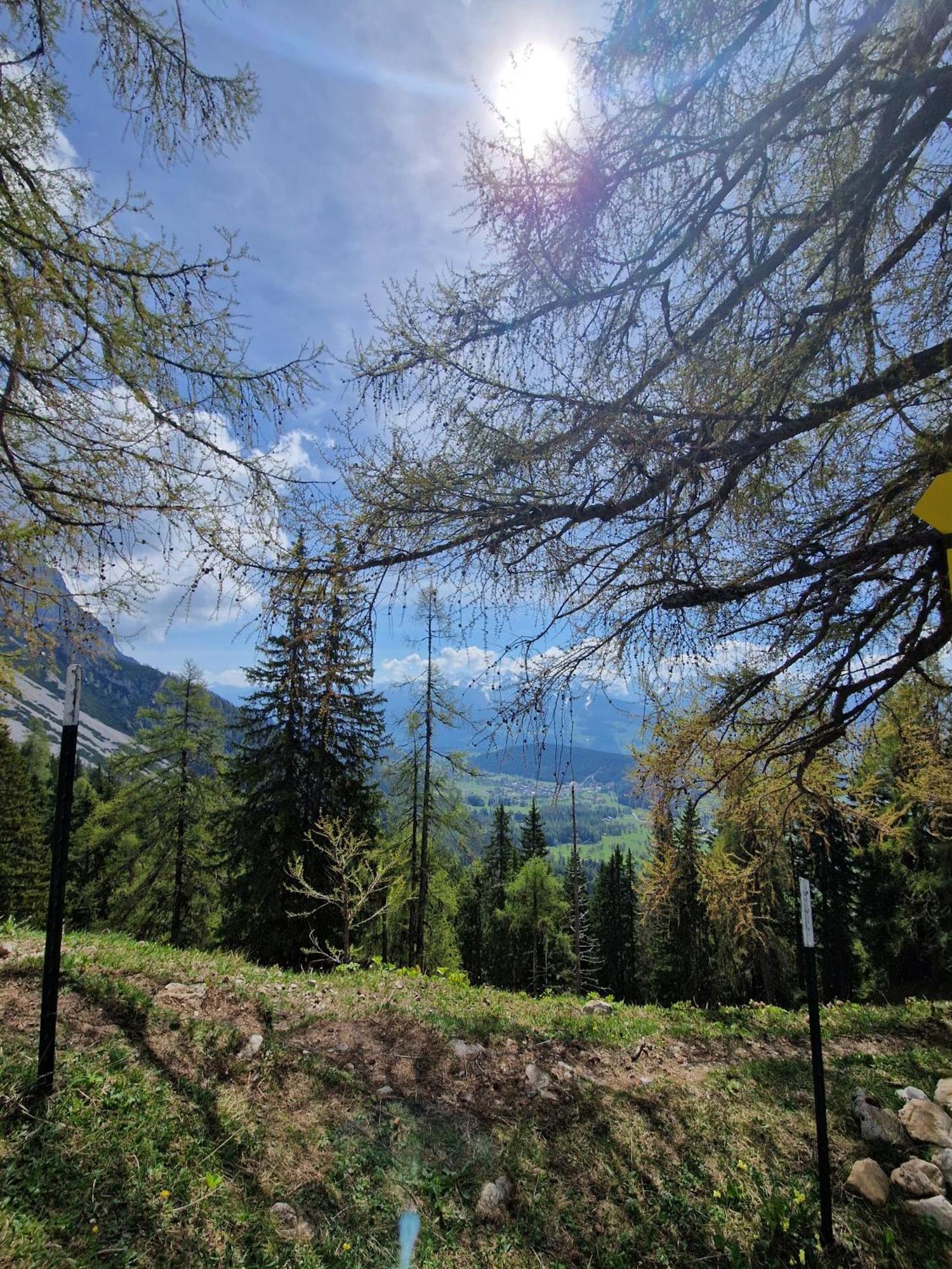 Romantikapartment Mit Sommercard Ramsau am Dachstein Esterno foto