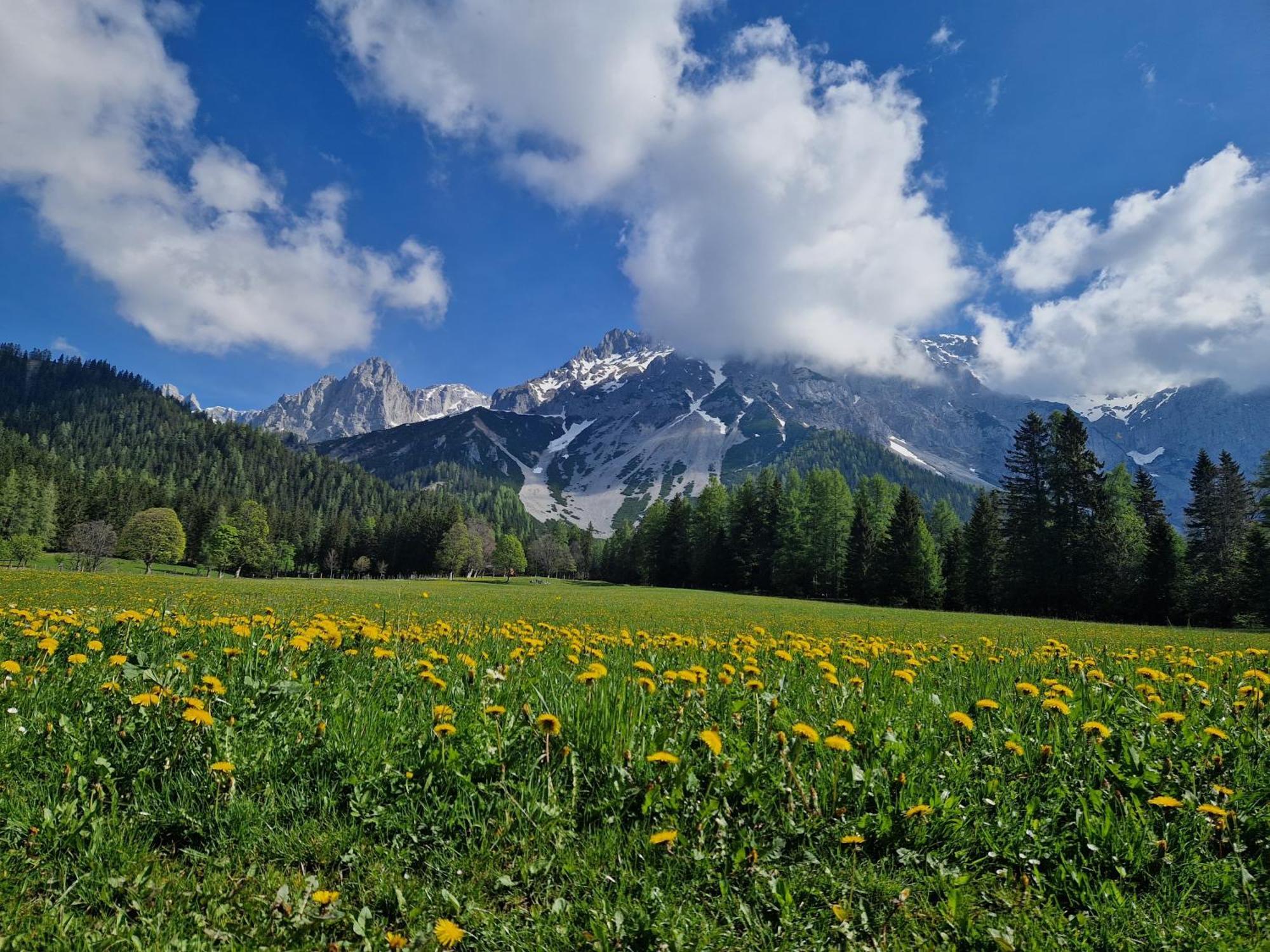Romantikapartment Mit Sommercard Ramsau am Dachstein Esterno foto